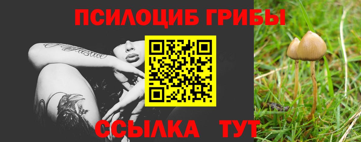 Псилоцибиновые грибы прущие грибы Орехово-Зуево